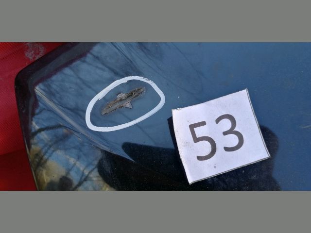 bontott PEUGEOT 508 Csomagtérajtó Kárpit