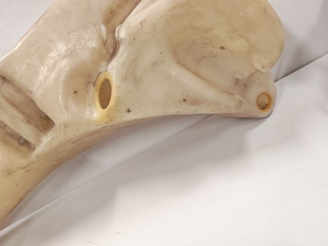 bontott PEUGEOT 607 Ablakmosó Tartály