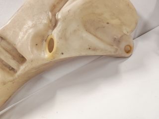 bontott PEUGEOT 607 Ablakmosó Tartály