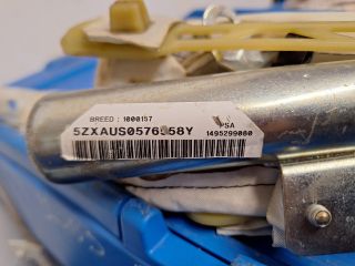 bontott PEUGEOT 807 Bal első Függöny Légzsák