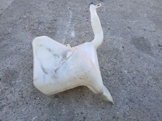 bontott PEUGEOT BOXER Ablakmosó Tartály