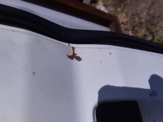 bontott PEUGEOT BOXER Bal Csomagtérajtó (Üres lemez)