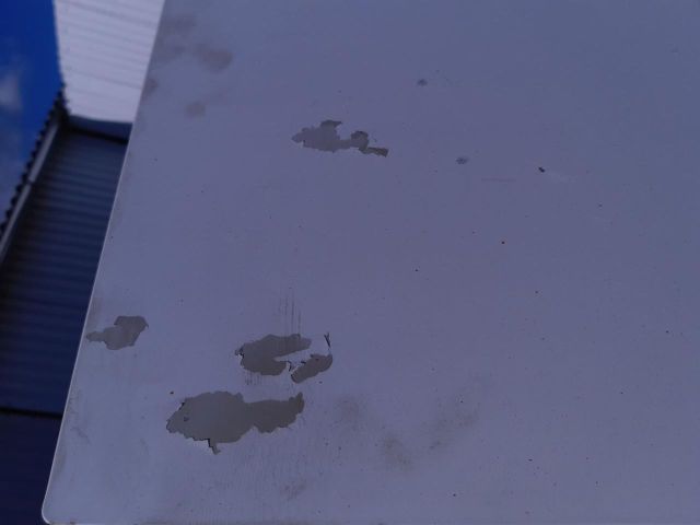 bontott PEUGEOT BOXER Jobb Csomagtérajtó (Üres lemez)