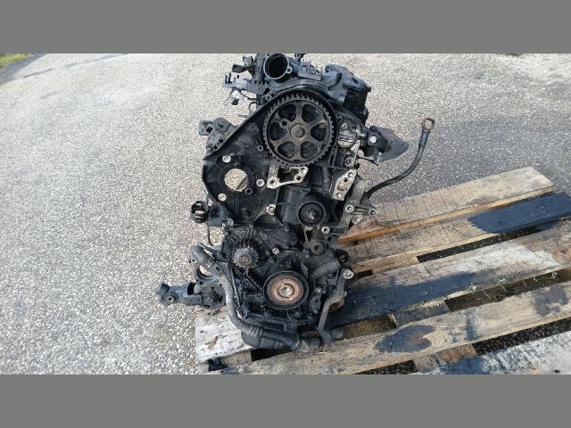 bontott PEUGEOT PARTNER Motor (Fűzött blokk hengerfejjel)