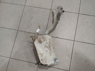 bontott PEUGEOT PARTNER Ablakmosó Tartály