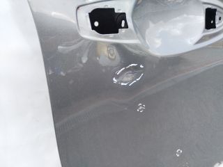 bontott RENAULT ARKANA I Jobb első Ajtó (Üres lemez)