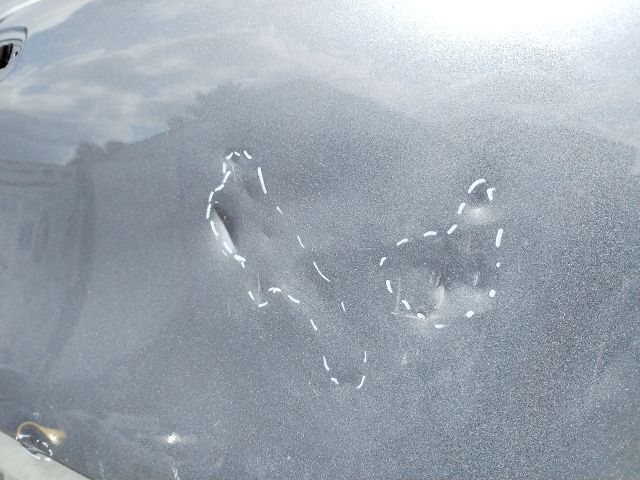 bontott RENAULT ARKANA I Jobb első Ajtó (Üres lemez)