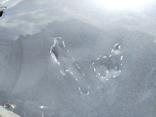 bontott RENAULT ARKANA I Jobb első Ajtó (Üres lemez)