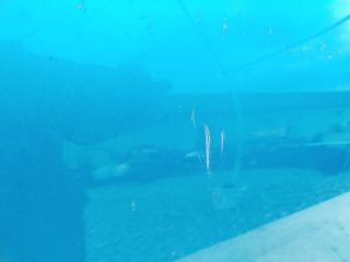 bontott RENAULT CAPTUR Bal első Ajtó (Üres lemez)