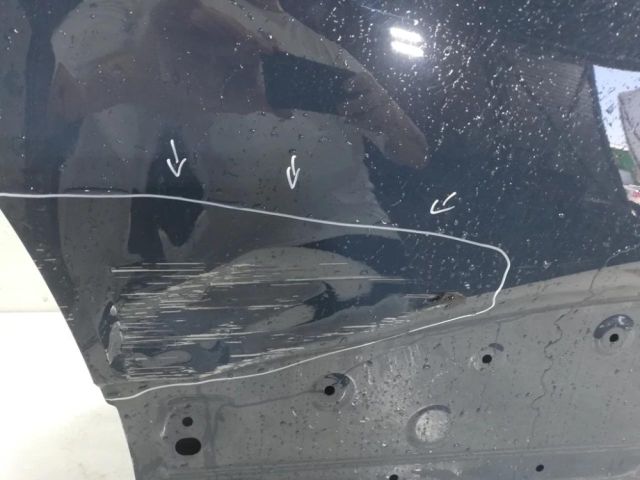 bontott RENAULT CAPTUR II Jobb hátsó Ajtó (Üres lemez)