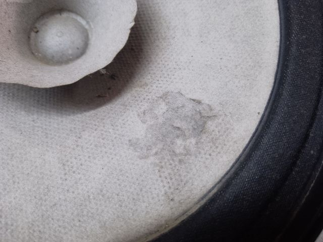 bontott RENAULT CAPTUR Jobb első Hangszóró