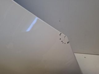 bontott RENAULT CAPTUR Jobb első Sárvédő