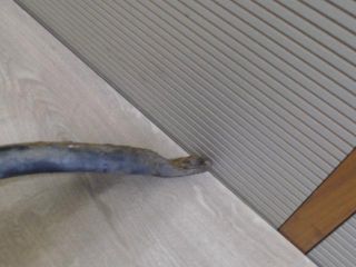 bontott RENAULT CLIO II Első Stabilizátor Pálca