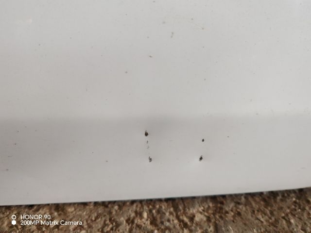 bontott RENAULT CLIO II Bal első Ajtó (Részeivel)