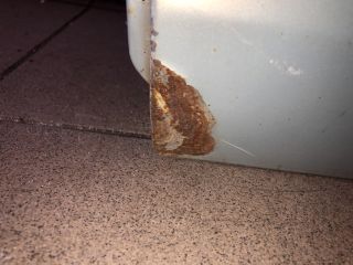 bontott RENAULT CLIO II Bal hátsó Ajtó (Üres lemez)