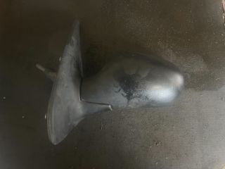 bontott RENAULT CLIO II Bal Visszapillantó Tükör (Mechanikus)