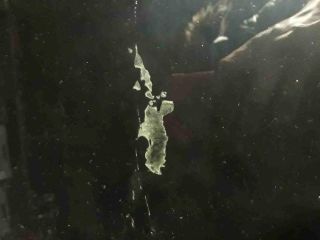 bontott RENAULT CLIO II Jobb hátsó Fixüveg (Ajtóban)