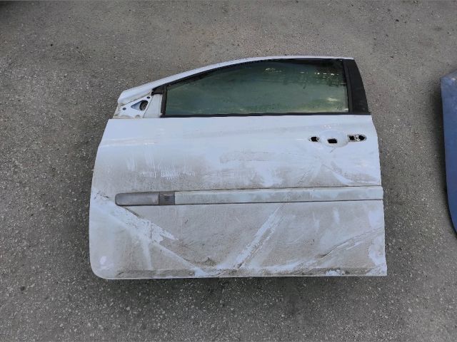 bontott RENAULT CLIO III Bal első Ajtó (Üres lemez)