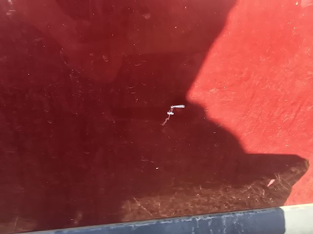 bontott RENAULT CLIO III Bal hátsó Ajtó (Üres lemez)