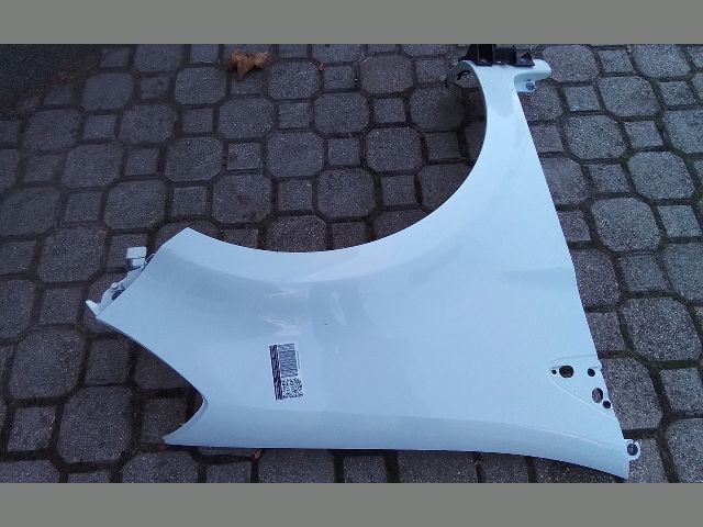 bontott RENAULT CLIO III Jobb első Sárvédő