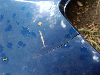 bontott RENAULT CLIO III Jobb első Sárvédő