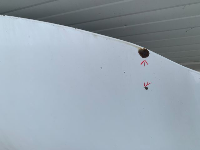 bontott RENAULT CLIO III Motorháztető