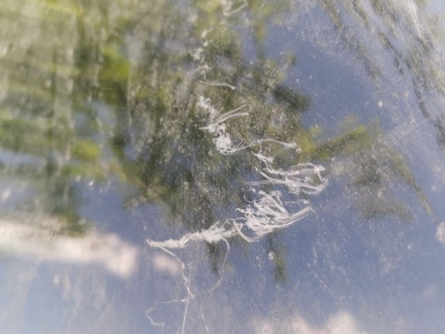 bontott RENAULT CLIO IV Motorháztető