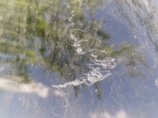 bontott RENAULT CLIO IV Motorháztető