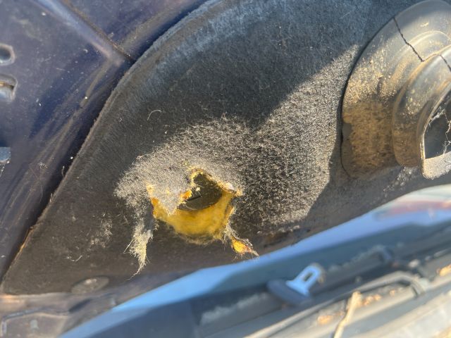 bontott RENAULT ESPACE IV Motorháztető