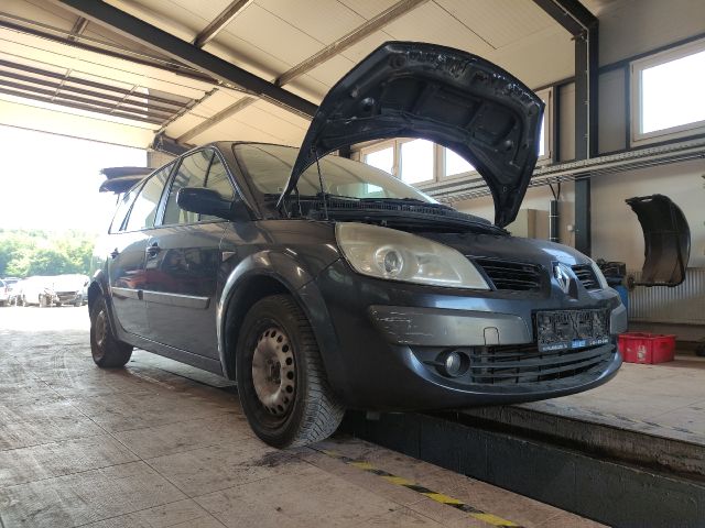 bontott RENAULT GRAND SCÉNIC Bal hátsó Ajtó (Üres lemez)