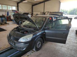 bontott RENAULT GRAND SCÉNIC Jobb hátsó Ajtó (Üres lemez)