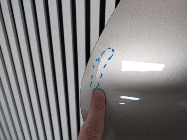 bontott RENAULT GRAND SCÉNIC Jobb hátsó Ajtó (Üres lemez)