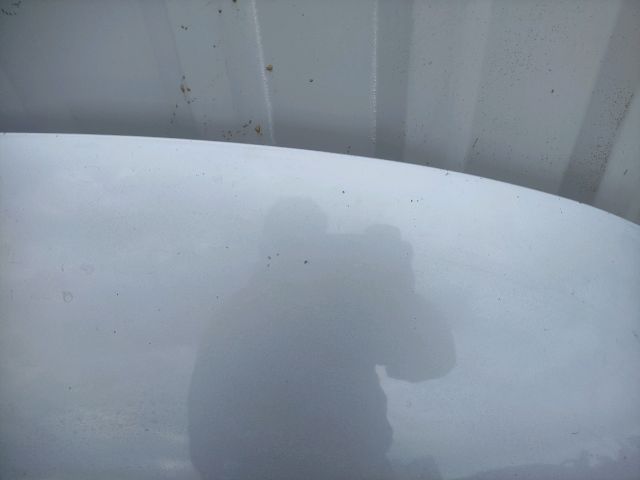 bontott RENAULT GRAND SCÉNIC Motorháztető