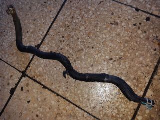 bontott RENAULT KADJAR Vízcső