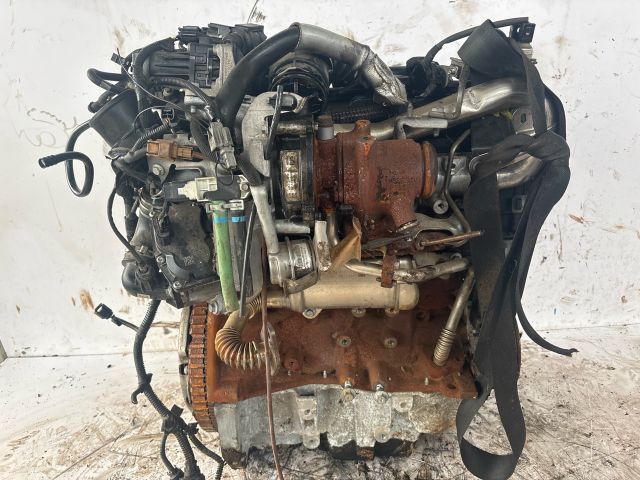 bontott RENAULT KANGOO Motor (Fűzött blokk hengerfejjel)