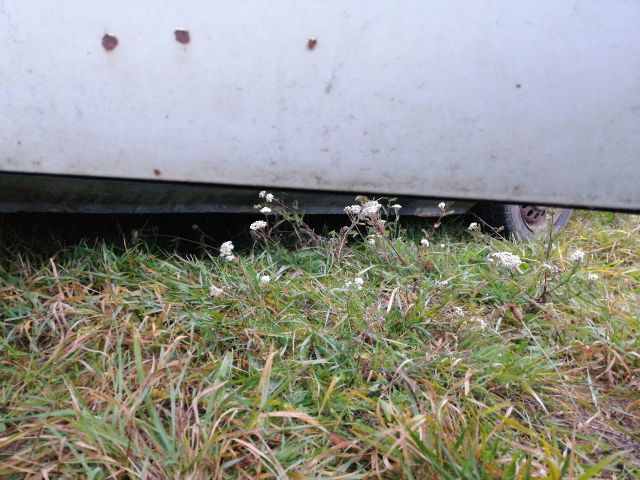 bontott RENAULT KANGOO Bal első Ajtó (Részeivel)