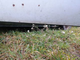 bontott RENAULT KANGOO Bal első Ajtó (Részeivel)