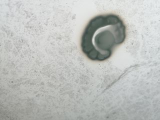 bontott RENAULT KANGOO Első Szélvédő