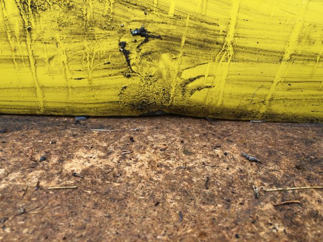 bontott RENAULT KANGOO Jobb első Ajtó (Üres lemez)