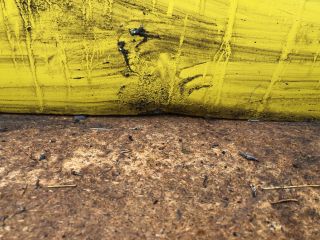 bontott RENAULT KANGOO Jobb első Ajtó (Üres lemez)