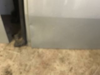 bontott RENAULT KANGOO Jobb hátsó Ajtó (Részeivel)