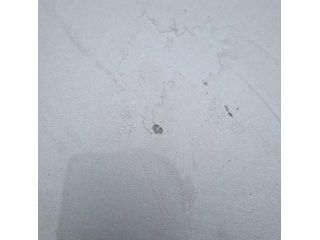 bontott RENAULT KOLEOS Motorháztető