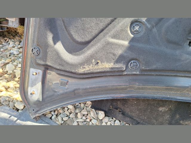 bontott RENAULT KOLEOS Motorháztető