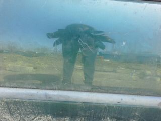 bontott RENAULT LAGUNA I Jobb első Ajtó (Részeivel)