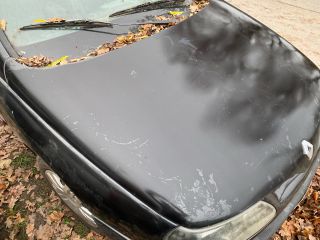 bontott RENAULT LAGUNA I Motorháztető