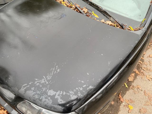 bontott RENAULT LAGUNA I Motorháztető