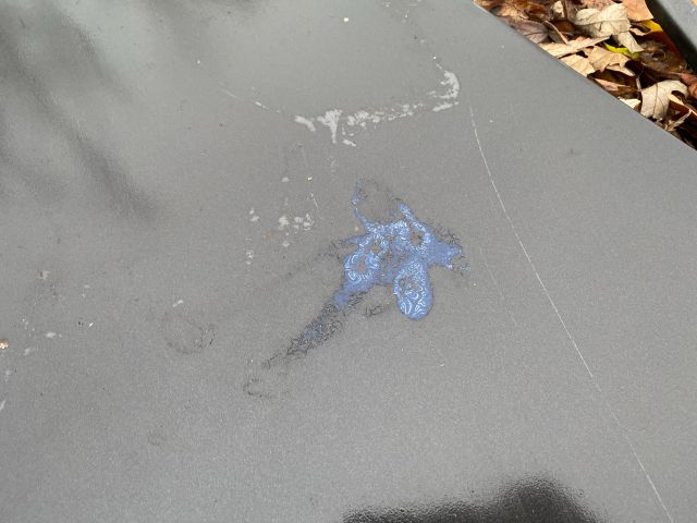 bontott RENAULT LAGUNA I Motorháztető