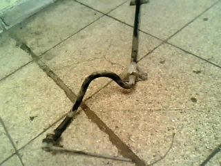 bontott RENAULT LAGUNA II Első Vízszintes Stabilizátor Rúd