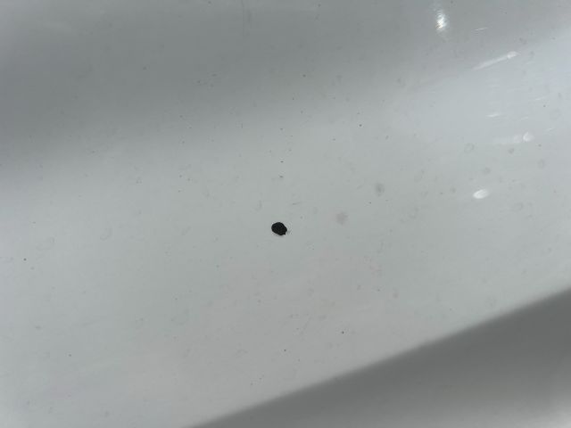 bontott RENAULT LAGUNA II Jobb első Sárvédő