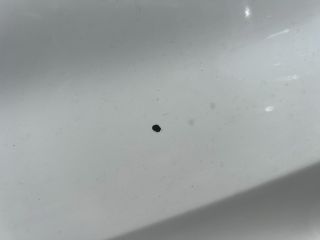 bontott RENAULT LAGUNA II Jobb első Sárvédő